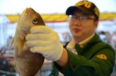 대원좌대 바다낚시조황 > [] 9월 6일 토요일 조황정보 : 낚시사랑