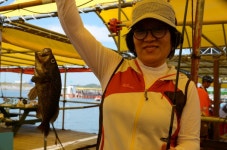 대원좌대 바다낚시조황 > [] 9월 6일 토요일 조황정보 : 낚시사랑