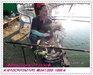 송악IC바다낚시터 바다낚시조황 > 4월30일 활어차 및 조황정보 : 낚시사랑  송악IC바다낚시터 바다낚시조황 > 4월30일 활어차 및 조황정보... 