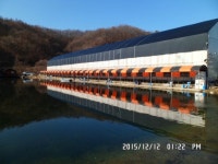 지오캠핑낚시터 바다낚시조황 > 전곡 한탕강유원지 옆에 자리하는 지오 바다&민물낚시터 소개합니다~~ : 낚시사랑