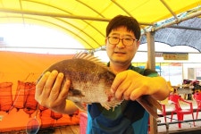 한성좌대 바다낚시조황 > 창리포구 조황안내!! : 낚시사랑