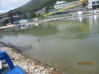 선두바다낚시 바다낚시조황 > [ 강화바다레져 ] 터 2016/07/02 조과 : 낚시사랑