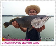 송악IC바다낚시터 바다낚시조황 > 7월3일 조황정보 : 낚시사랑