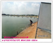 송악IC바다낚시터 바다낚시조황 > 8월15일 조황정보 : 낚시사랑