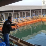 스타좌대 바다낚시조황 > [스타바다좌대낚시터] 10월10일 야간조황 및 10월11일 주간조황 : 낚시사랑