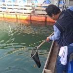 스타좌대 바다낚시조황 > [스타바다좌대낚시터] 10월10일 야간조황 및 10월11일 주간조황 : 낚시사랑