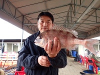 스타좌대 바다낚시조황 > [스타바다좌대낚시터] 10월21일 야간조황 및 10월22일 주간조황 : 낚시사랑