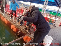 대부도바다낚시터 바다낚시조황 > [랍스타낚시터] 대부도수상바다좌대낚시터 11월 23일 수요일 랍스타 우럭등 조황 : 낚시사랑