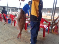 스타좌대 바다낚시조황 > [스타바다좌대낚시터] 11월04일 야간조황 및 11월5일 주간조황 : 낚시사랑