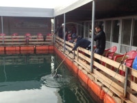 스타좌대 바다낚시조황 > [스타바다좌대낚시터] 11월04일 야간조황 및 11월5일 주간조황 : 낚시사랑