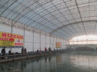 궁평바다낚시터 바다낚시조황 > 궁평바다실내낚시터 12월15일 (목)요일조황입니다 : 낚시사랑