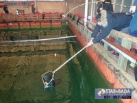 스타좌대 바다낚시조황 > [스타바다좌대낚시터] 1월18일 야간조황 및 1월19일 주간조황 : 낚시사랑