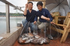 선재메니져 바다낚시조황 > 선재낚시공원 6/6 조황정보 : 낚시사랑