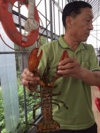 소래매니저 바다낚시조황 > 바다낚시터 추천 [인천 소래바다낚시터] 조황정보, 민물장어 방류사진 : 낚시사랑