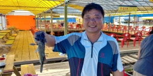 한성좌대 바다낚시조황 > [★★★안면도 태안 낚시터 ★★★] 조황 : 낚시사랑