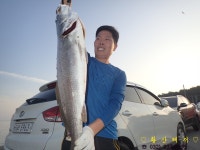 황산바다레져 바다낚시조황 > [황산레저바다낚시터] 9월 8일(금) 조황정보 : 낚시사랑