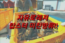 자유로레져 바다낚시조황 > 사계절 실내 바다낚시터 개장 후 주간 조황소식 입니다 : 낚시사랑