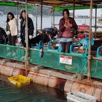 아쿠아좌대 바다낚시조황 > 충남 당진 아쿠아 바다 좌대 낚시터 10월 14일 조황 정보 : 낚시사랑