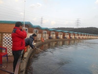 선재낚시공원 바다낚시조황 > 12월 10일 조황정보 : 낚시사랑