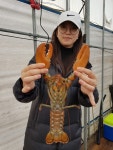 ★소래바다낚시터★ 바다낚시조황 > 인천 [소래바다낚시터], [소래랍스터하우스] 조황정보입니다. : 낚시사랑