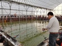 ★소래바다낚시터★ 바다낚시조황 > 인천 소래바다낚시터 [소래랍스터하우스] 조황정보입니다. : 낚시사랑