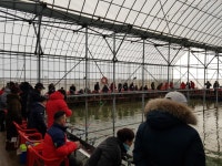 ★소래바다낚시터★ 바다낚시조황 > 즐거운 소래바다낚시터 [소래랍스터하우스] 조황정보입니다. : 낚시사랑