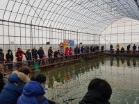 ★소래바다낚시터★ 바다낚시조황 > 즐거운 인천 소래바다낚시터 [소래랍스터하우스] 조황정보입니다. : 낚시사랑