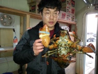 김포고정낚시터 유료낚시터 > 예지실내바다낚시터 랍스터낚시터~~설연휴 찻아주심에감사드립니다~~ : 낚시사랑