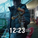 자유로레져 바다낚시조황 > 3월 14일 조황정보 : 낚시사랑