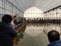 ★소래바다낚시터★ 바다낚시조황 > 인천 소래바다낚시터 [소래랍스터하우스] 조황정보입니다. 문의 : 010.5356.3939 : 낚시사랑