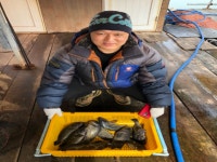 해성좌대 바다낚시조황 > 당진 해성호좌대 3월7일 조황정보 : 낚시사랑  해성좌대 바다낚시조황 > 당진 해성호좌대 3월7일 조황정보 : 낚시사랑