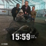 자유로레져 바다낚시조황 > 4월15일 조황정보 : 낚시사랑