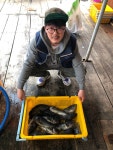 해성좌대 바다낚시조황 > 당진 해성호좌대 4월1일 조황정보 : 낚시사랑