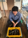 해성좌대 바다낚시조황 > 당진 해성호좌대 4월3일 조황정보 : 낚시사랑
