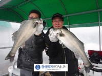 정성바다낚시터 바다낚시조황 > 4월 5일(목) 조황 : 낚시사랑  정성바다낚시터 바다낚시조황 >  4월 5일(목) 조황 : 낚시사랑
