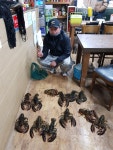 ★소래바다낚시터★ 바다낚시조황 > 인천 [소래바다낚시터], [소래랍스터하우스] 조황정보입니다. : 낚시사랑