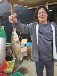 ★소래바다낚시터★ 바다낚시조황 > 인천 [소래바다낚시터], [소래랍스터하우스] 조황정보입니다. (하우스,노지 동시 운영중) : 낚시사랑