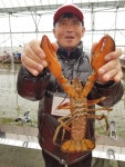 ★소래바다낚시터★ 바다낚시조황 > 인천 [소래바다낚시터], [소래랍스터하우스] 조황정보입니다. (하우스,노지 동시 운영중) : 낚시사랑