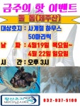 황초사계절 바다낚시조황 > 황산 초지 사계절 바다낚시터 4월18일 조황정보 : 낚시사랑