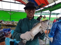 아쿠아좌대 바다낚시조황 > 당진 아쿠아바다좌대 5월18일 조황 : 낚시사랑  아쿠아좌대 바다낚시조황 > 당진 아쿠아바다좌대 5월18일 조황... 