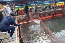 남용호좌대낚시 바다낚시조황 > [남용호] 5월 18~19일 좌대조황 소식 : 낚시사랑