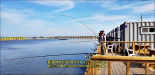 동검지기 바다낚시조황 > 동검레저바다낚시터 6월 2일 조황정보 : 낚시사랑