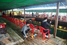 남용호좌대낚시 바다낚시조황 > [남용호] 9월 10~14일 좌대조황 소식 : 낚시사랑