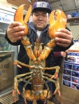 ★소래바다낚시터★ 바다낚시조황 > [랍스터낚시의 메카] 인천 소래랍스터하우스, 소래바다낚시터 조황정보입니다. (하우스,노지 동시운영중) : 낚..