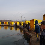 궁평바다낚시터 바다낚시조황 > 12월 02일 일요일 (하우스 및 노지) 주간조황입니다. : 낚시사랑