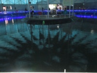 자유로레져 바다낚시조황 > 파주 ..폭발적인 방류~!! 대어와의 사투 현장~!! : 낚시사랑