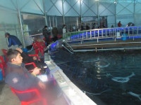 자유로레져 바다낚시조황 > 파주 바다낚시터..2호지 변신 소식을 전해 드립니다~!! : 낚시사랑