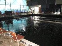 자유로레져 바다낚시조황 > 파주 바다낚시터..2호지가 24시간제로 운영됩니다~!! : 낚시사랑