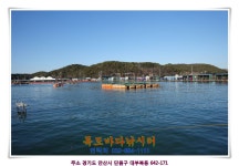 독도바다낚시터 바다낚시조황 > 독도 바다낚시터 2019년 1월 6일 겨울노지 조황 : 낚시사랑