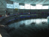 자유로레져 바다낚시조황 > 바다 낚시터..1호지, 2호지 모두 조황 좋습니다. : 낚시사랑